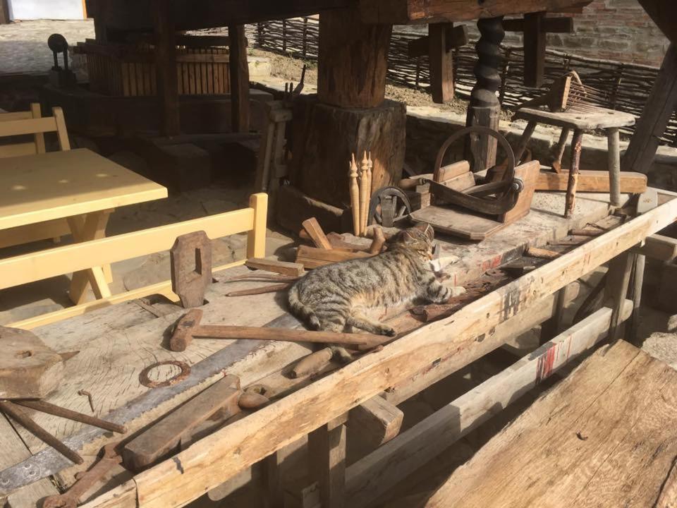 La Hansi In Crit Ngoại thất bức ảnh